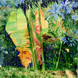 Banana Trees